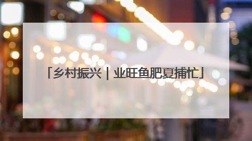 乡村振兴｜业旺鱼肥夏捕忙