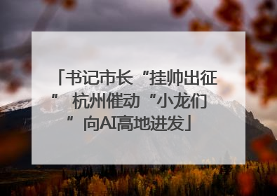 书记市长“挂帅出征” 杭州催动“小龙们”向AI高地进发