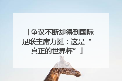 争议不断却得到国际足联主席力挺：这是“真正的世界杯”