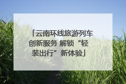 云南环线旅游列车创新服务 解锁“轻装出行”新体验