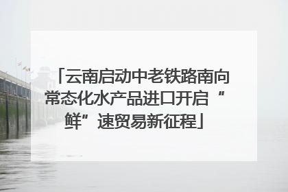 云南启动中老铁路南向常态化水产品进口开启“鲜”速贸易新征程