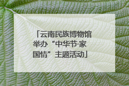 云南民族博物馆举办“中华节·家国情”主题活动