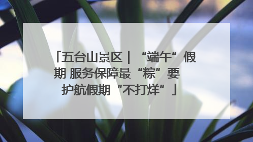 五台山景区｜“端午”假期 服务保障最“粽”要 护航假期“不打烊”