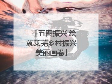 五图振兴 绘就莱芜乡村振兴美丽画卷