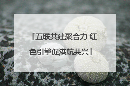五联共建聚合力 红色引擎促港航共兴