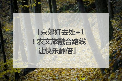 京郊好去处+1！农文旅融合路线让快乐翻倍