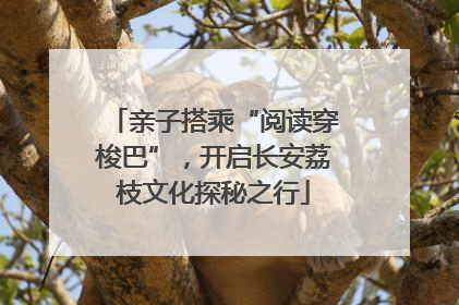 亲子搭乘“阅读穿梭巴”，开启长安荔枝文化探秘之行