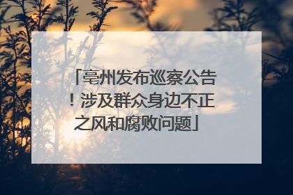 亳州发布巡察公告！涉及群众身边不正之风和腐败问题