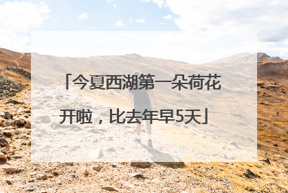 今夏西湖第一朵荷花开啦，比去年早5天
