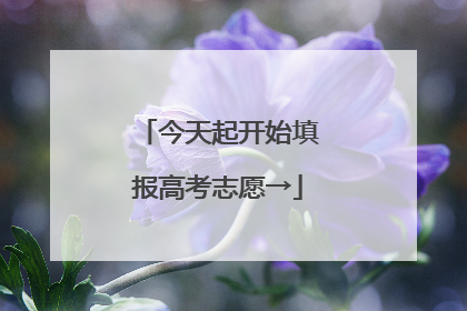 今天起开始填报高考志愿→