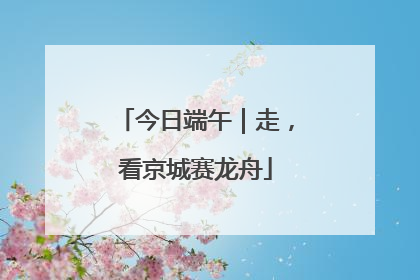 今日端午｜走，看京城赛龙舟