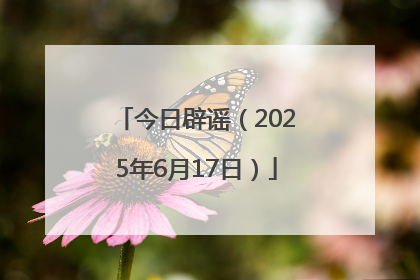 今日辟谣（2025年6月17日）