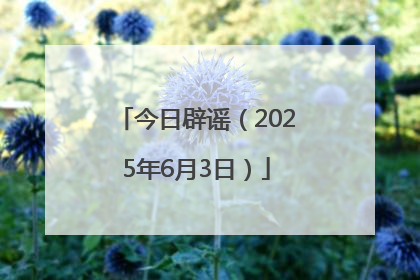 今日辟谣（2025年6月3日）