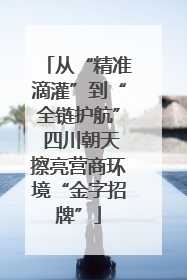 从“精准滴灌”到“全链护航” 四川朝天擦亮营商环境“金字招牌”