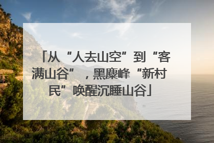 从“人去山空”到“客满山谷”，黑麋峰“新村民”唤醒沉睡山谷