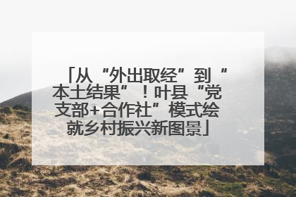 从“外出取经”到“本土结果”！叶县“党支部+合作社”模式绘就乡村振兴新图景