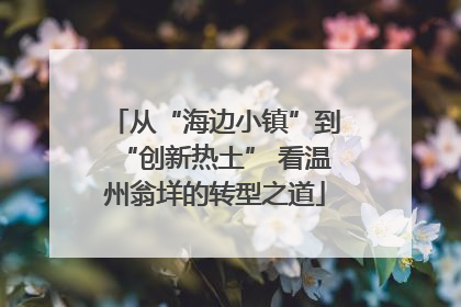 从“海边小镇”到“创新热土” 看温州翁垟的转型之道