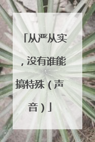 从严从实，没有谁能搞特殊（声音）