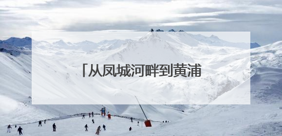 从凤城河畔到黄浦江边，“海”好有“陵”携手共赢