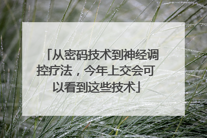 从密码技术到神经调控疗法，今年上交会可以看到这些技术