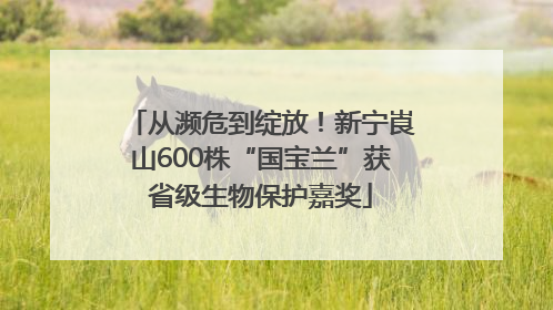 从濒危到绽放！新宁崀山600株“国宝兰”获省级生物保护嘉奖