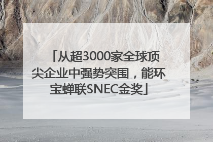 从超3000家全球顶尖企业中强势突围，能环宝蝉联SNEC金奖