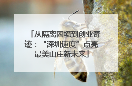 从隔离困境到创业奇迹：“深圳速度”点亮最美山庄新未来