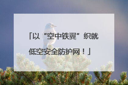 以“空中铁翼”织就低空安全防护网！
