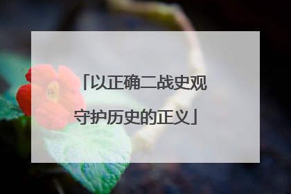 以正确二战史观守护历史的正义