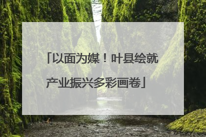 以面为媒！叶县绘就产业振兴多彩画卷