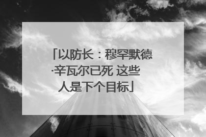 以防长：穆罕默德·辛瓦尔已死 这些人是下个目标