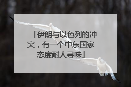 伊朗与以色列的冲突，有一个中东国家态度耐人寻味
