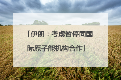 伊朗：考虑暂停同国际原子能机构合作