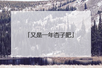 又是一年杏子肥