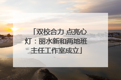 双校合力 点亮心灯：丽水新和两地班主任工作室成立