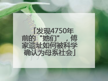 发现4750年前的“她们”，傅家遗址如何被科学确认为母系社会