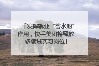 发挥就业“蓄水池”作用，快手美团将释放多领域实习岗位