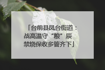 台前县凤台街道：战高温守“粮”辰 禁烧保收多管齐下