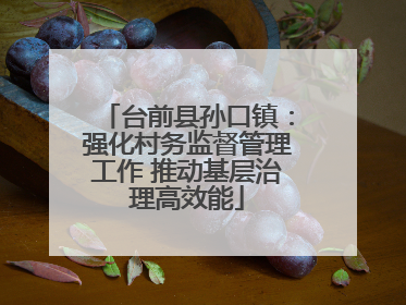 台前县孙口镇：强化村务监督管理工作 推动基层治理高效能