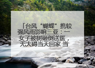 台风“蝴蝶”携较强风雨影响三亚：一女子被树砸倒送医，无大碍当天回家 当地已紧急清障
