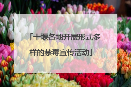 十堰各地开展形式多样的禁毒宣传活动