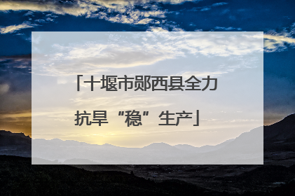 十堰市郧西县全力抗旱“稳”生产