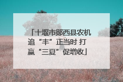 十堰市郧西县农机追“丰”正当时 打赢“三夏”促增收