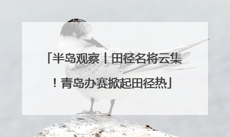半岛观察丨田径名将云集！青岛办赛掀起田径热