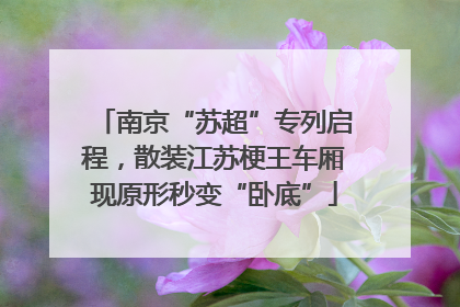 南京“苏超”专列启程，散装江苏梗王车厢现原形秒变“卧底”