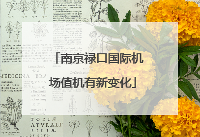 南京禄口国际机场值机有新变化