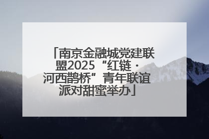 南京金融城党建联盟2025“红链・河西鹊桥”青年联谊派对甜蜜举办