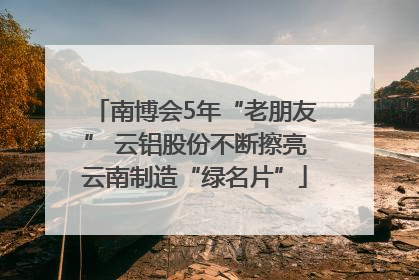 南博会5年“老朋友” 云铝股份不断擦亮云南制造“绿名片”