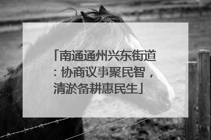 南通通州兴东街道：协商议事聚民智，清淤备耕惠民生