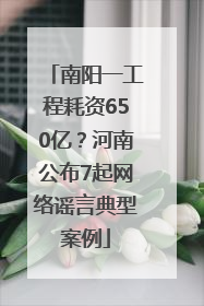 南阳一工程耗资650亿？河南公布7起网络谣言典型案例